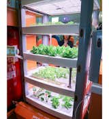 Perfect for urbanists with green thumbs, Opcom's modular hydroponic farm comes equipped with sensors and a panoramic camera for tracking temperature, humidity, and water quality. Users can tinker with these variables from their smartphone or tablet.