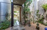 Several courtyards help bring greenery in. On the west side of the home, plants absorb sunlight and create another passive cooling feature. Crushed limestone pebbles and an exposed stone wall complete the lush space.