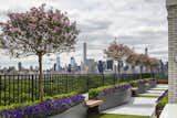 The team had plenty to work with in terms of views: Central Park fans out around the home, with an uninterrupted view of the supertall 432 Park Avenue residential tower in the distance.