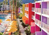 Project: The Saguaro Palm Springs 

After they revamped the brand identity of The Saguaro Scottsdale, in Arizona, Stamberg Aferiat + Associates turned to nature to revive the hotel’s sister property in Palm Springs, a once-iconic midcentury structure that had become distressed over time. Completed in 2012, the vivacious prismatic update took cues from the desert’s native wildflowers, including lemon bottlebrush, California poppy, indigo bush, agave, and desert penstemon. "Color can bring great joy into our lives and environments," says Stamberg Aferiat + Associates partner Peter Stamberg. "It can make a space more engaging, embracing, warmer, more open, or more closed."