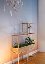 A sculptural terrarium brings the landscape indoors. This two-tier wooden box planter is but one of many designs by Plant-in City, a cooperative of artists and technologists who create a series of intricate, micro-ecosystems of “green architecture.”