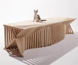 A cat can squeeze into any space that is at least as wide as its skull. This Feral Cat Shelter, the product of a collaboration between the design firm Formation Association and the artist Edgar Arceneaux, is definited by an undulating rib system that creates sanctuaries for cats while fending off would-be predators.