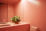 The bathroom of the beauty parlor by Crosby Studios.  Photo 9 of 35 in Pink by Norah Eldredge from The Moscow Minimalists