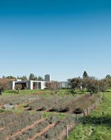 Outdoor, Gardens, Shrubs, Trees, and Field The Hupert-Kinmont house lies low in a century-old apple orchard, far from neighboring houses. The spaciousness of the rural surroundings is echoed inside.  Photo 2 of 18 in A Sonoma Prefab That Celebrates a Family’s Passion for Cooking