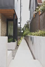 The architects installed concrete pavers on the north and east sides of the house with wooly thyme planted in between.  Photo 10 of 12 in Three Families Comfortably Fit in One Slim Lot