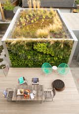 Designer Monica Berdin—who is married to architect Clinton Cuddington—worked with Aloe Designs to cover two sides of their backyard studio in drought-tolerant flora. A sheltered deck features a custom fire pit and a pair of turquoise Condesa chairs.