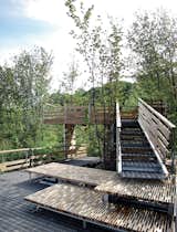 #outdoor #exterior #outside #deck #stairs #trees #splitframe #cranberrybog #portland #connecticut #wesleyanuniversity 