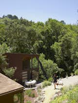 Outdoor and Walkways There's little concern about privacy considering the canopy of trees that surrounds the house. Alexander, and the chickens, take advantage of their sunny Northern Californian clime.  Photos from You Don't Have to Just Be at Your Desk When Working from Home