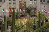 For the month of June 2016, Rockefeller Center's Chanel Gardens will be filled with a cactus garden designed by Lifescapes International.