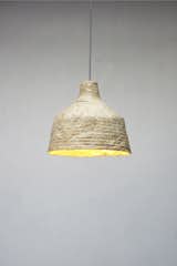 The result is a sustainable light made from dried mushrooms. &nbsp;