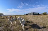 House of the Week: Living the Off-the-Grid Dream