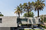 Casa Palma by Alric Galindez Arquitectos. Photo by Albano García #palmtrees #southamerica #modern #landscape 