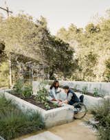 On approach to the guesthouse, the family keeps an edible garden in concrete planters by the property’s landscape designer, Cielo Sichi of Landfour.