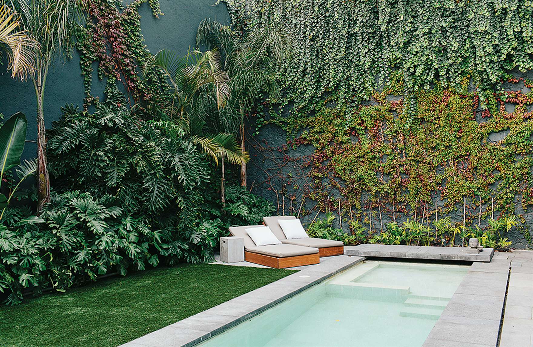 Photo 1 of 15 in A Lush Retreat With a Sheltered Rooftop Pool in Mexico City Dwell