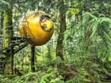 Inspired by the principle of Biomimicry, Free Spirit Spheres’ goal is to "create new ways of living that are well-adapted to life on earth over the long haul." Based outside of Vancouver, the company specializes in tiny spherical tree houses that are works of art. You can even book an escape to spend the night in one at their forest hotels!
