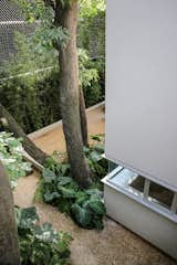 Outdoor, Trees, Small Patio, Porch, Deck, and Wood Patio, Porch, Deck Filters purify rainwater that drains from the roof or through the wood-plastic composite deck.  A cistern collects the water for indoor use.  Photo 2 of 12 in Retired Couple Build Modern in Mexico City