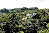 This view of Villa Arboleda shows the incredible amount of rich forest that surrounds the hillside escape.