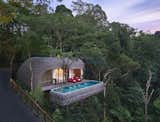 Escape to the Jungle in One of These Modern Forested Retreats