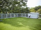 Outdoor, Rooftop, Grass, Metal Patio, Porch, Deck, Metal Fences, Wall, and Wire Fences, Wall  Photos from Across the Ocean