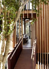Hallway  Photo 2 of 10 in Paarman Tree Home by Dwell from A Floating South African Cabin Borrows From the Landscape