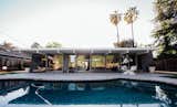 Outdoor, Trees, Back Yard, Stone Patio, Porch, Deck, Small Pools, Tubs, Shower, Wood Fences, Wall, and Swimming Pools, Tubs, Shower  Photos from An Interior Designer Launches Her Career by Renovating Her Family’s Midcentury Eichler