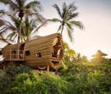 Experience Tree-Top Living at One of These Sustainable Tree Houses