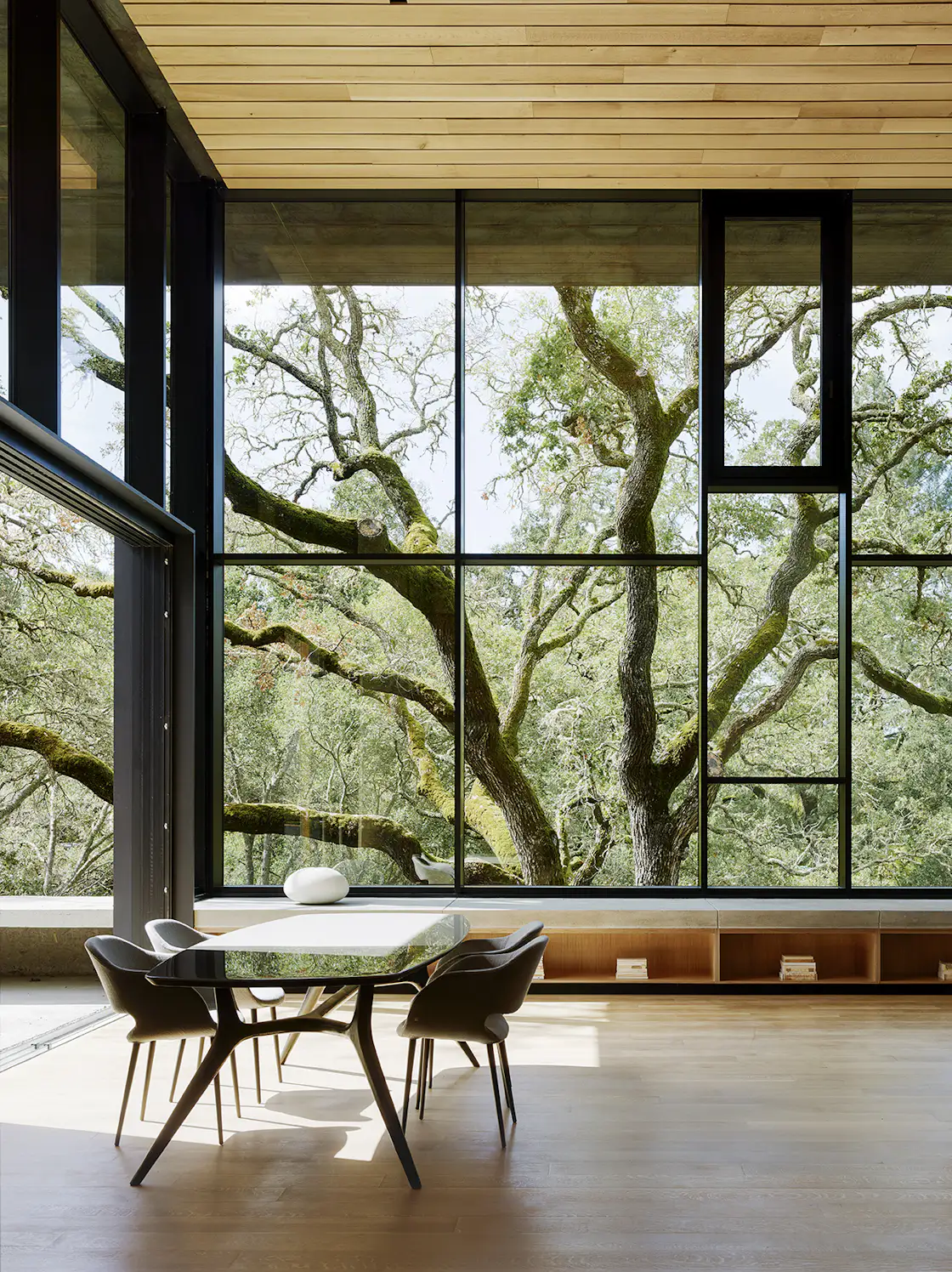 Gallery image with a fresh perspective