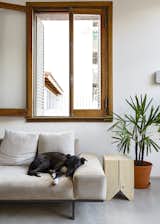 Living Room, Sofa, End Tables, and Concrete Floor In the living area, their dog, Rocknrol, hangs out on a suede Copenhagen sofa by Alejandro Sticotti for Net Muebles.
-
Buenos Aires, Argentina
Dwell Magazine : September / October 2017  Photo 4 of 11 in An Architect Turns His Small, Dark Apartment in Buenos Aires Into a Bright and Airy Home