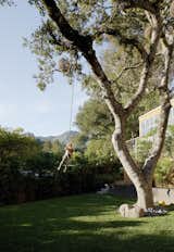 Outdoor, Grass, and Back Yard Leo flies across the yard on a rope swing (opposite). The oak’s trunk is surrounded by Mexican river stones.

Mill Valley, California
Dwell Magazine : September / October 2017  Dwell’s Saves from Space and Storage Needs Guide the Expansion of a Cottage North of San Francisco