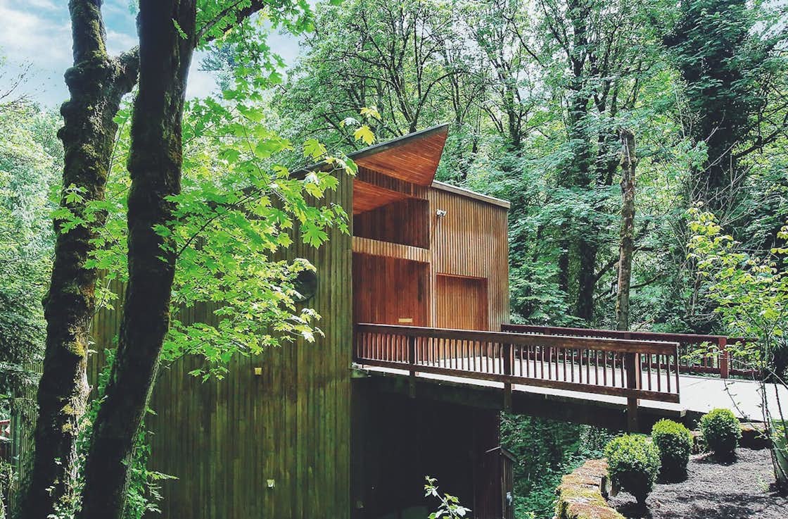This Tree House For Rent Near Downtown Portland Doubles As an Art