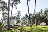Camp Out in a Comfortable Tent or Airstream in Northern California