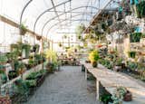 Outdoor, Garden, Gardens, Flowers, Walkways, and Hanging Lighting  Photos from This 120-Year-Old Home With a Greenhouse Is a Gardener's Paradise