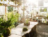 This 120-Year-Old Home With a Greenhouse Is a Gardener's Paradise - Photo 27 of 27 - 