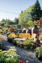 This 120-Year-Old Home With a Greenhouse Is a Gardener's Paradise - Photo 14 of 27 - 