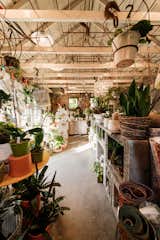 This 120-Year-Old Home With a Greenhouse Is a Gardener's Paradise - Photo 7 of 27 - 