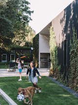 Outdoor, Trees, Side Yard, Concrete, Gardens, Large, Shrubs, Walkways, and Grass The west patio opens up to a grass area that can be enjoyed by many.  Outdoor Side Yard Walkways Gardens Shrubs Photos from A Black Stucco Home in Dallas Is Surrounded by Eye-Popping Greenery