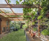 Outdoor, Side Yard, Garden, Walkways, Gardens, and Grass Chickens foraging in an enclosed garden with vertical planters.  Outdoor Garden Photos from A Sustainable Home Near Sydney Boasts Chicken Coops, Vertical Gardens, and More