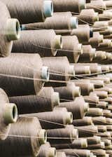  Photo 6 of 26 in From Sketchbook to Loom, We Reveal How a Brooklyn Designer Created Her New Ocean-Inspired Textile