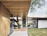 Outdoor, Trees, Walkways, Wood, Hardscapes, Small, Shrubs, and Grass Julie and Chris Hill’s home in Austin is built around a pair of massive oak trees, one of which shoots through an ipe deck, past a Loll deck chair, and into a void in the overhanging roof. “The hole also allows light to penetrate deeper into the house,” notes designer Kevin Alter. A limestone brick wall mirrors the curves of the Western red cedar roof, the edges of which are coated in stucco.  Outdoor Trees Shrubs Wood Small Photos from This House in Austin Has a Tree Growing Right Through It