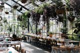 Next to the shimmering pool on the second floor, the hotel's restaurant Commissary is housed in a lush, urban greenhouse.