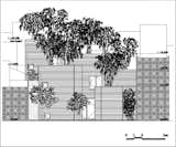 The site elevation.