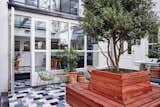 Outdoor, Small Pools, Tubs, Shower, Planters Patio, Porch, Deck, and Trees  Photo 2 of 15 in The Hoxton Amsterdam by Dwell