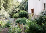 Outdoor, Wood Fences, Wall, Garden, Trees, Gardens, and Shrubs The kitchen leads directly to the lush garden.  Photo 9 of 10 in New York Architect John Berg Invites Us Into His Indoor/Outdoor Hamptons Home