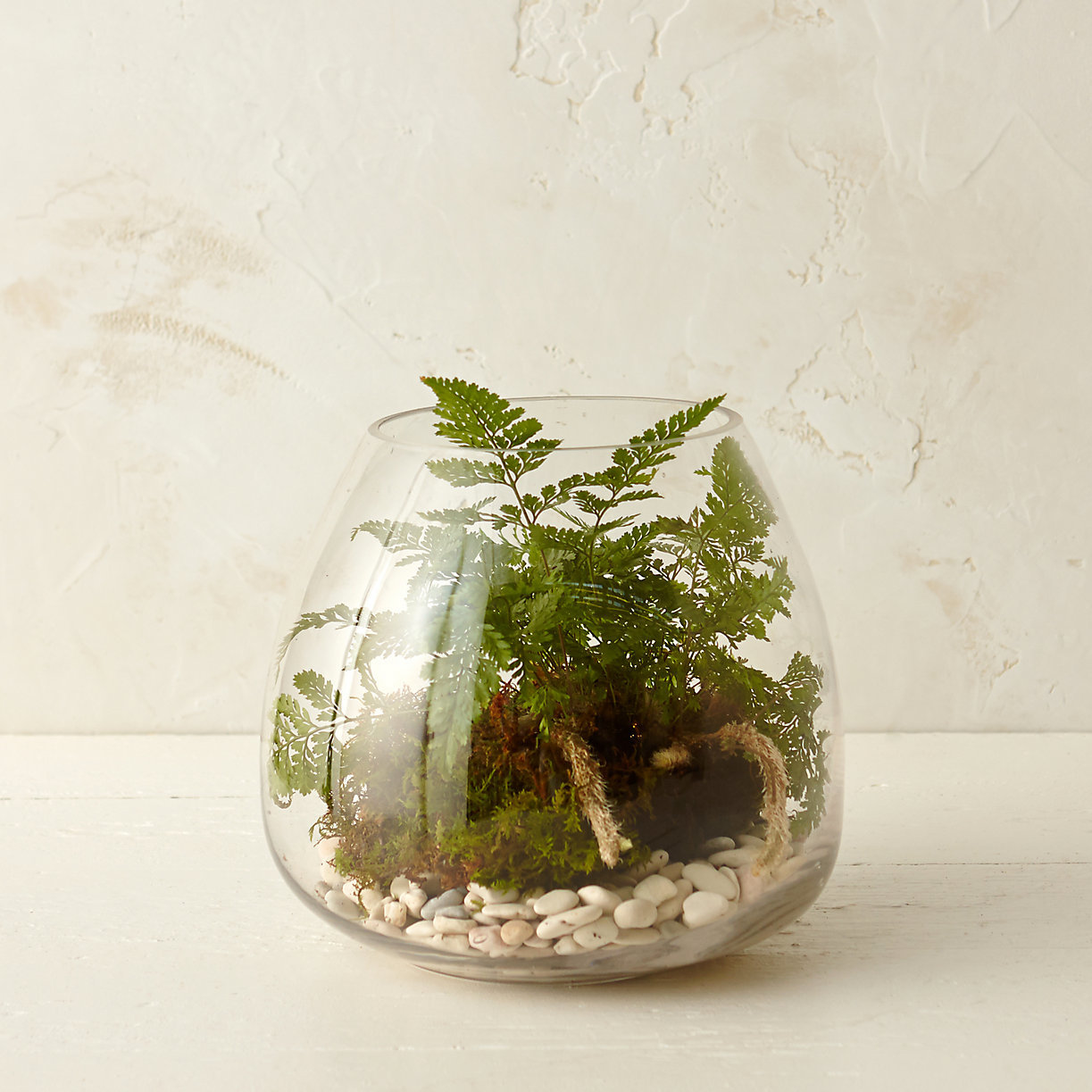 Polished Drop Terrarium - Thumbnail 2