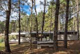 Exterior, Flat RoofLine, and House Building Type  Photo 1 of 8 in A Staggered Concrete Home in Argentina Nestles in the Woods