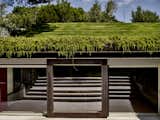 “The way these villas blend with the environment gives a taste of what sensitive coastal development could be,” says PAT. architect Andrea Veglia.