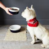 Waggo Dipped Ceramic Pet Bowl