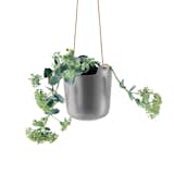 Eva Solo Self-Watering Hanging Pot