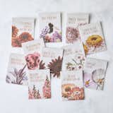  Photo 1 of 1 in The Floral Society Flower Arranging Seed Starter Set