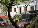 Outdoor, Metal, Trees, Vertical, Large, Back Yard, Hanging, Decking, and Raised Planters Mama Shelter Rio de Janeiro in Rio de Janeiro, Brazil  Outdoor Metal Back Yard Hanging Vertical Large Photos from Mama Shelter Rio De Janeiro